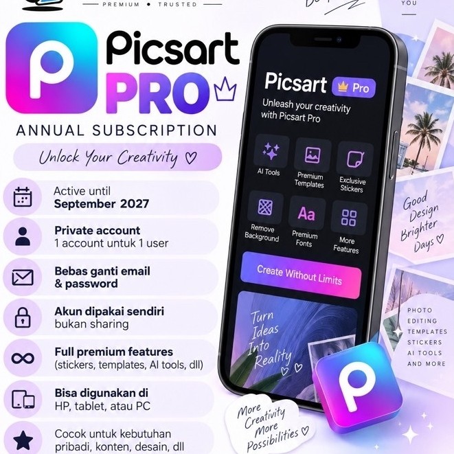 Picsart Pro — Annual Account