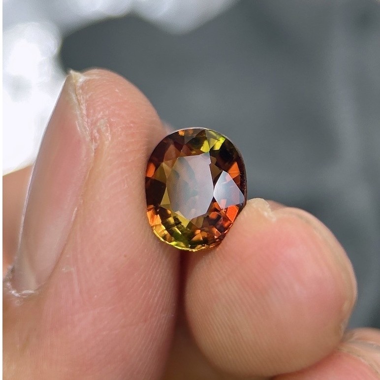 NATURAL BI-COLOR TOURMALINE + MEMO GRI 756