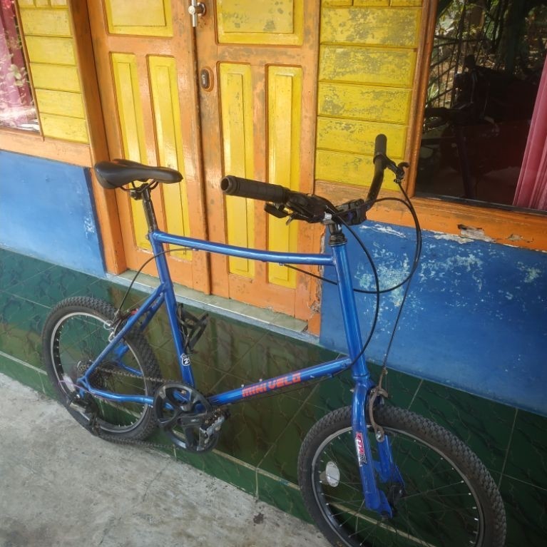 Sepeda minivelo custom frame