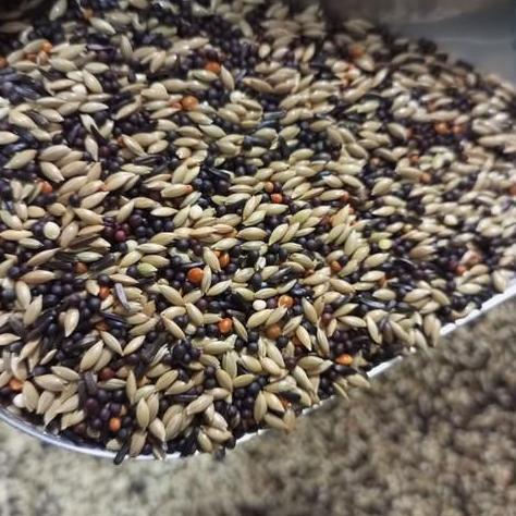 Pakan kenari campur kiloan 1KG