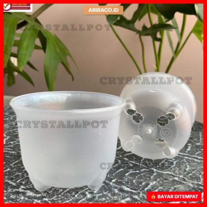 POT BUNGA TANAMAN NKT MINI PANDA 06 BENING TRANSPARAN - NKT PANDA 06 BENING