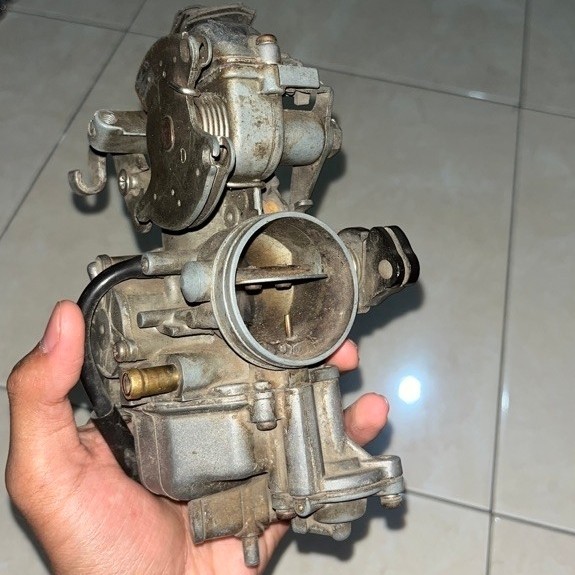 KARBU TIGER ORI COPOTAN