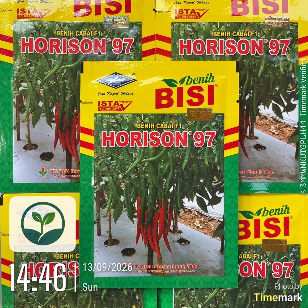 BENIH CABAI F1 HORISON 97 2250 Biji - Exp 2027