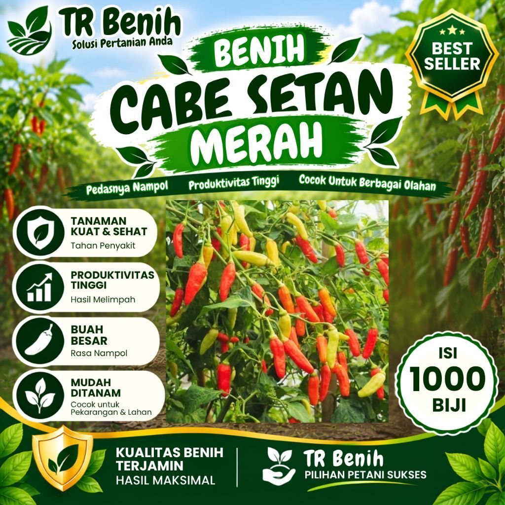 (1000 biji)Benih Cabe rawit setan | Benih cabe setan unggul