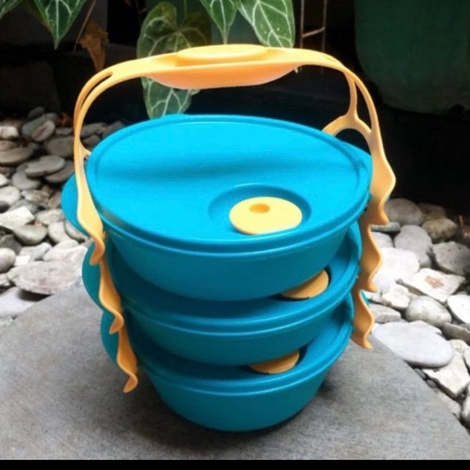 Carry All Bowl Tupperware - Rantang