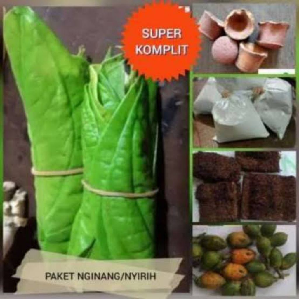 NGINANG SIRIH KOMPLIT Meningkatkan Pencernaan Daun Sirih Kapur Sirih Pinang