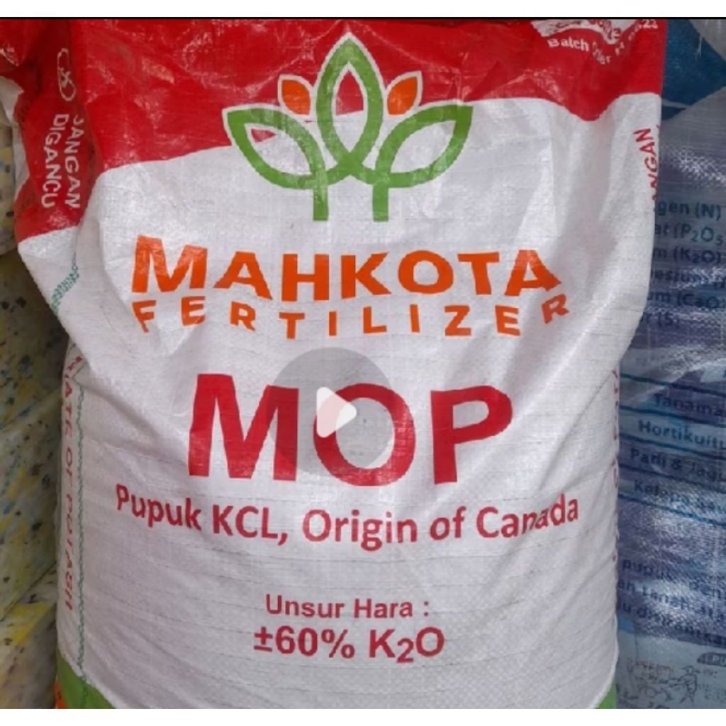 pupuk MOP
