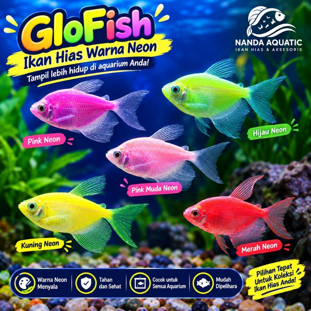 Hiasan aquarium Paket 2 ekor Ikan GlowFish Neon Warna Warni | Ikan Hias Aquarium | GloFish Pink Hija