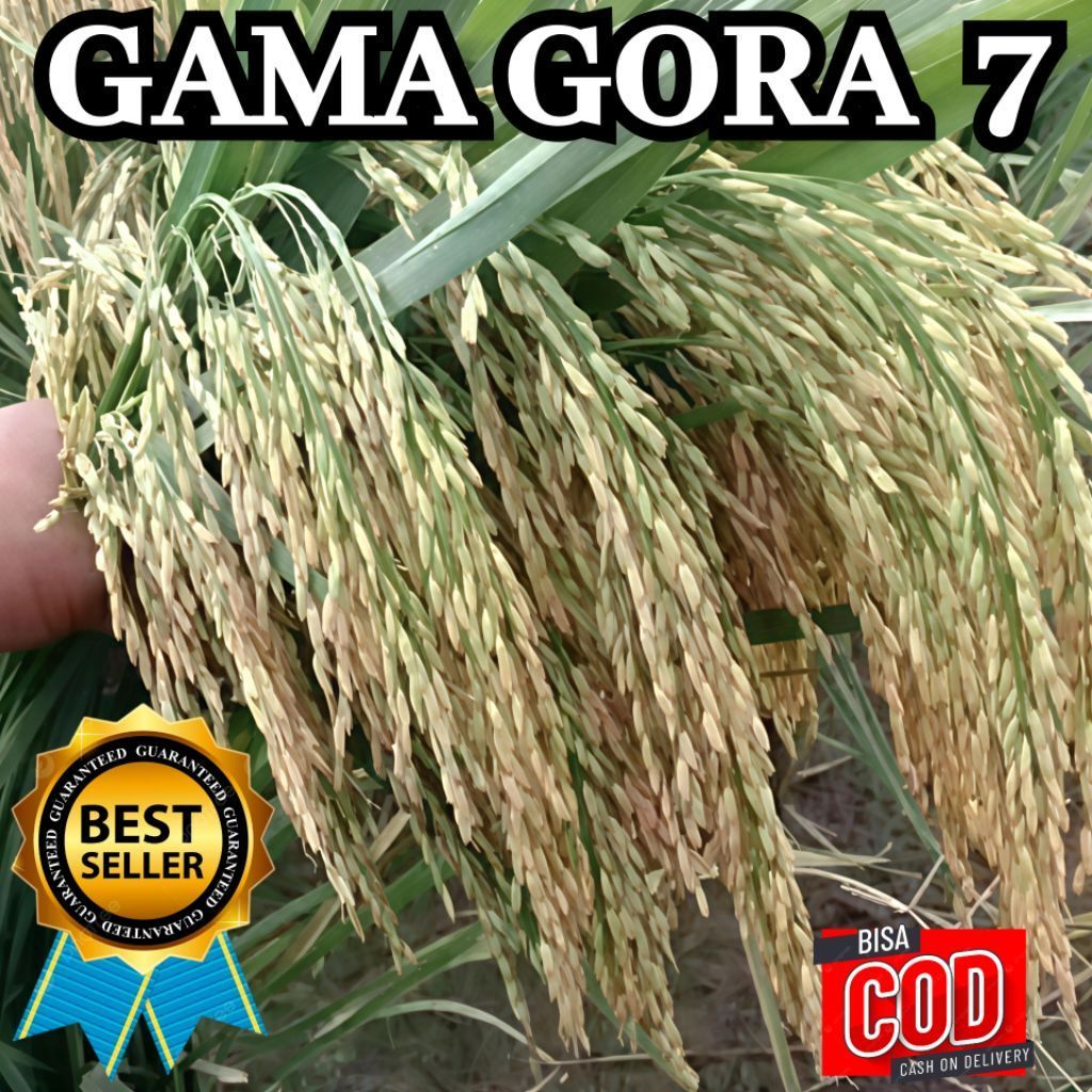 Bibit Benih Padi Gamagora 7 Hasil Tinggi Nasi Pulen Kualitas Unggul Kamasan 5kg Bisa COD Gratis Ongk