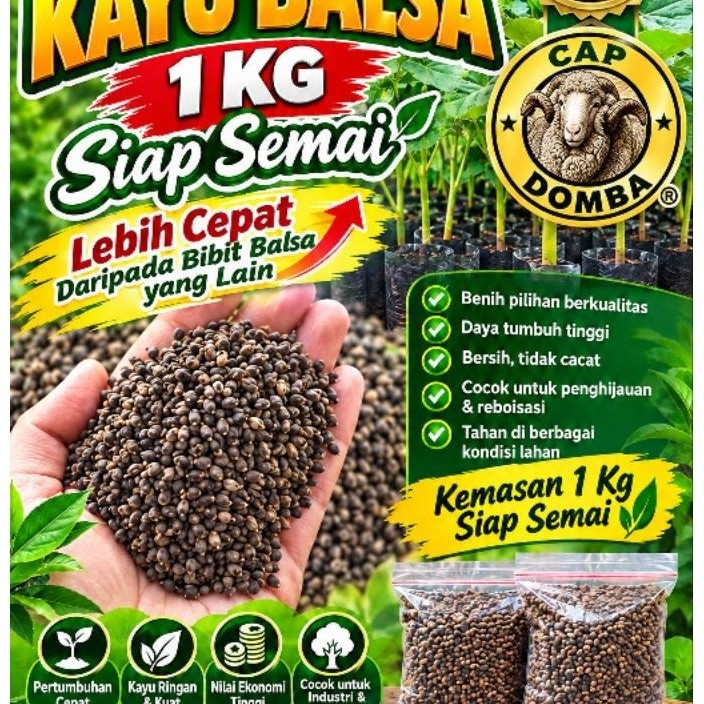 Biji Balsa/Benih Kayu Balsa ( Termurah 1 kg )