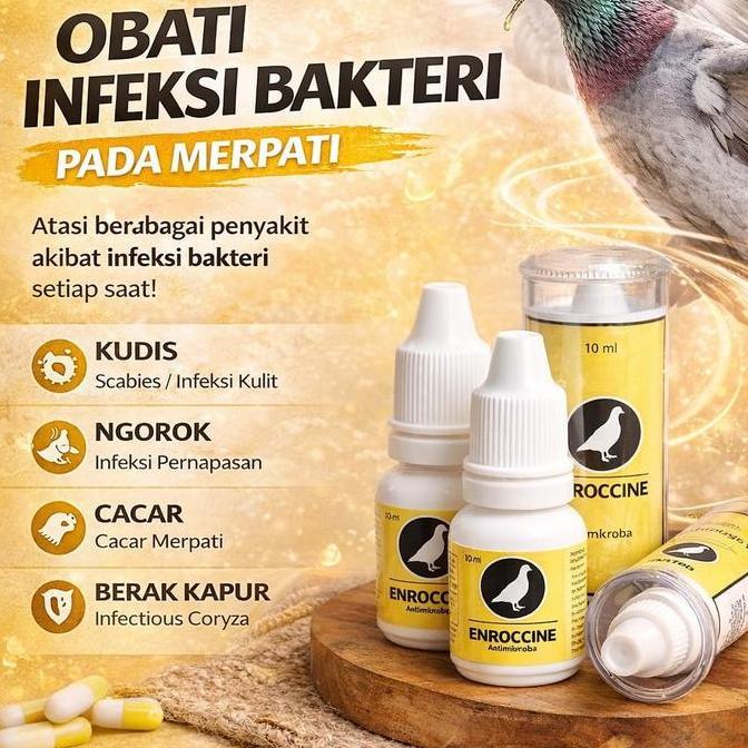 ENROCCINE VITAREST OBAT BURUNG MERPATI BERAK HIJAU KAPUR NGOROK SNOT