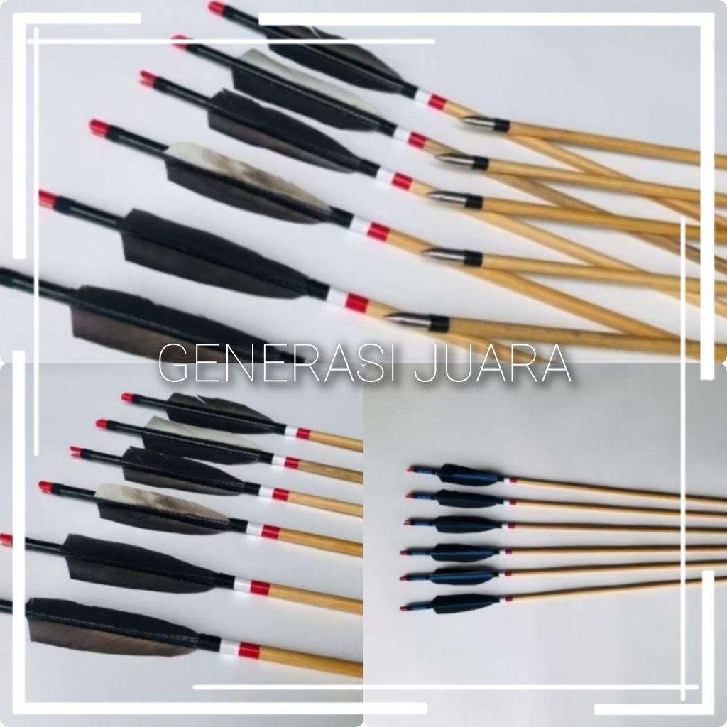 Arrow Ramin Cresting Vanes Bulu Ayam | Arrow Tradisional Archery - Arrow Ramin Olahraga Panahan