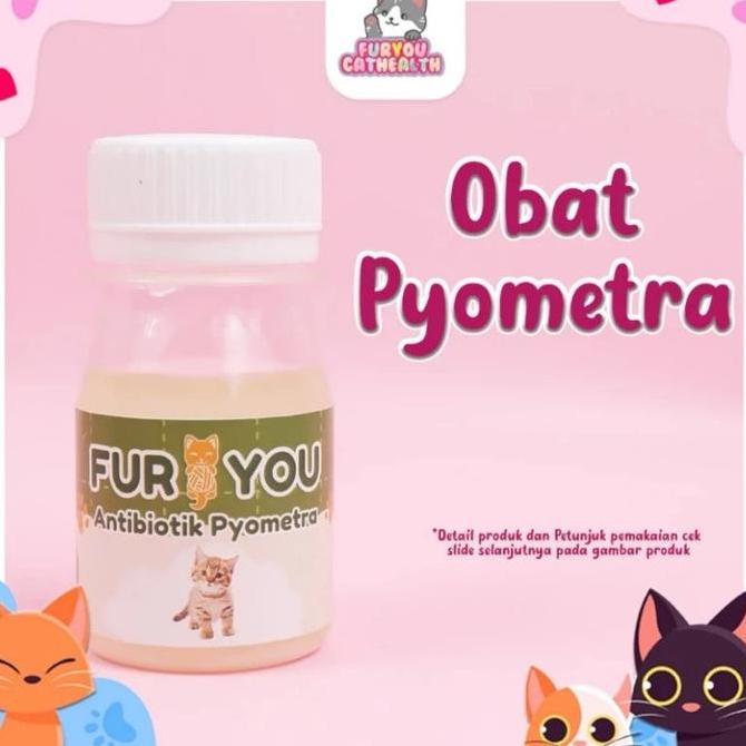 Bayanto123 - Kapsul Antibiotik Pyometra Kucing