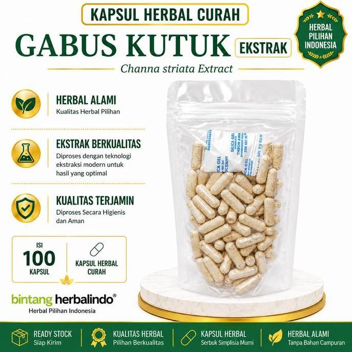 Farmasi- Ikan Gabus Kutuk 100 Kapsul Herbal Curah Ekstrak 600 Mg Channa Striata