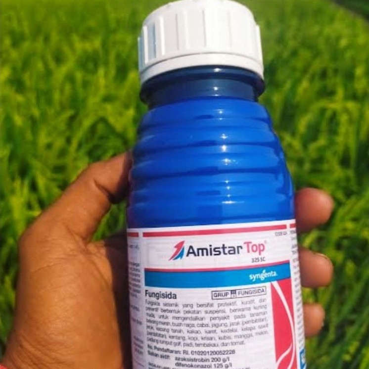 Fungisida AMISTARTOP 325 SC fungisida Sistemik Azoksistrobin Difenokonazol  100% ORI