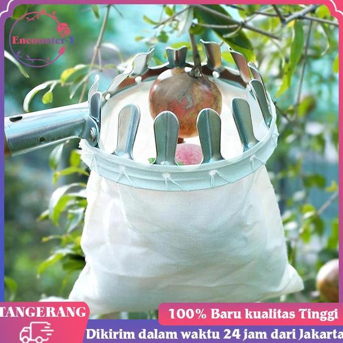Alat Pemetik Buah Alat Pengambil Buah Fruit Picker