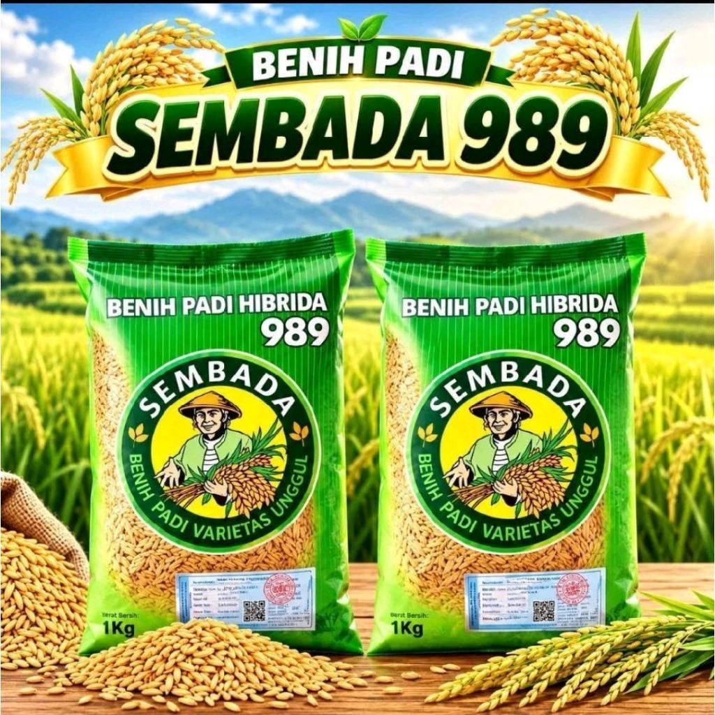 1KG BENIH PADI SEMBADA-989 BENIH PADI HIBRIDA SUPER BERKWALITAS UNGGUL ORIGINAL