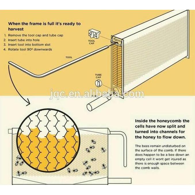 Flow honey bee hive frame isi 3