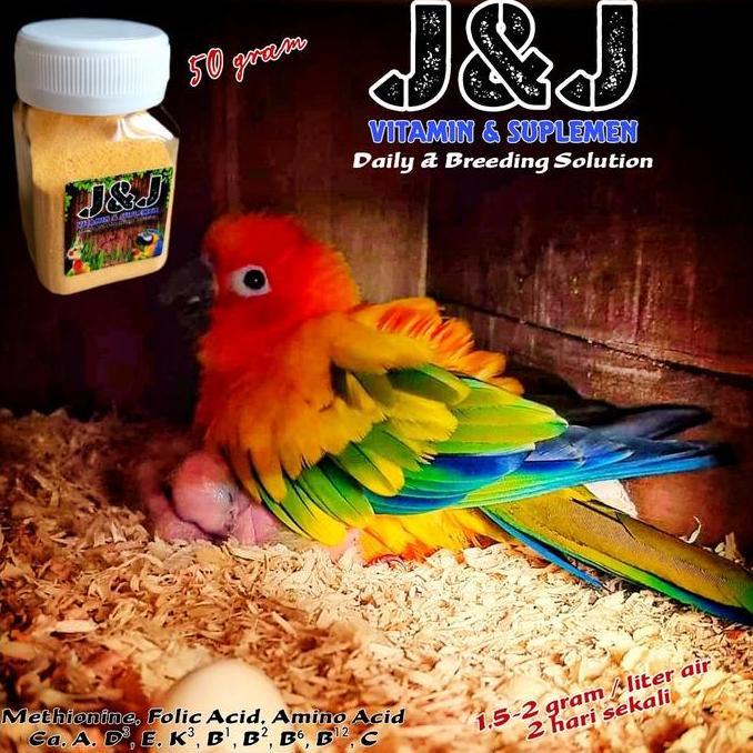 J&J Vitamin ternak Parrot Kenari Conure Lovebird Falk