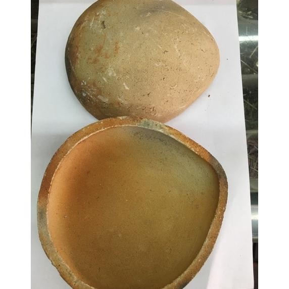 KOWI-Kowi Padang besar ukuran 13cm/leburan emas aSt