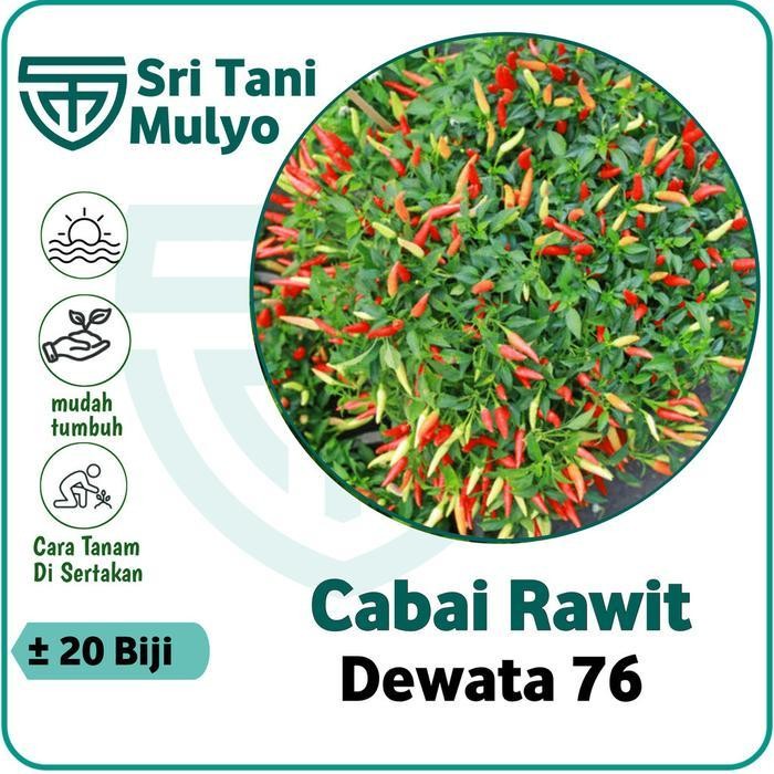 Cod - 20 Biji - Benih Cabe Rawit Setan Hibrida F1 Tanaman Sayur Cabe Hias Cabe Unik. - Bibit Sayuran