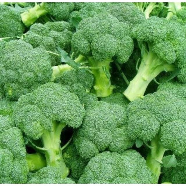 

[Cod] - 50 Biji Bibit Benih Sayur Brokoli Green F1 - Toleran Panas / Bibit Sayur Dataran Rendah / Sayuran