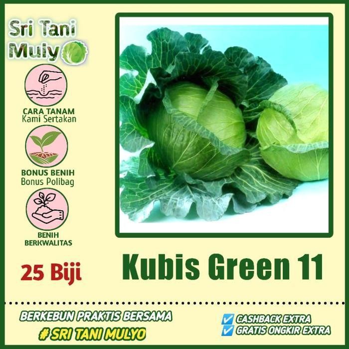 

[Cod] - 25 Biji - Benih Sayur Sayuran Kol/Kubis Kolbis (Mudah Tumbuh) Bibit