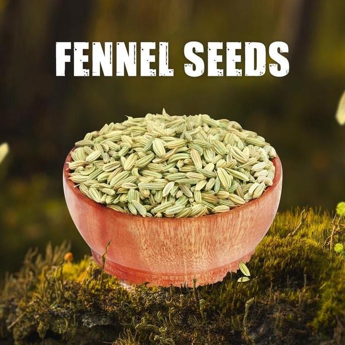 

favorit] BB FENNEL SEEDS 200GM