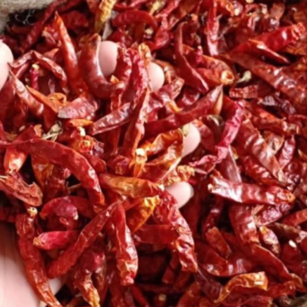 

Pilihan Tepat Cabe Rawit (Teja)1Kg/Petik(Tanpa Tangkai)Cabai Kering Rawit Asli Extra Pedas