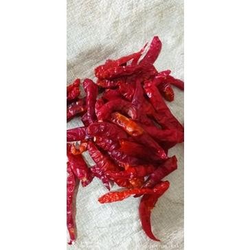 

Keuntungan ( 5Kg ) Cabe Rawit Teja Kering Tanpa Tangkai Super Pedas