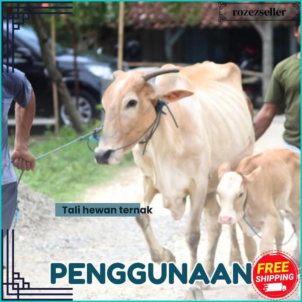 

Tali Tampar United Serbaguna Ukuran 1.5 Mm 1 Roll / Panjang 220 Meter Cod