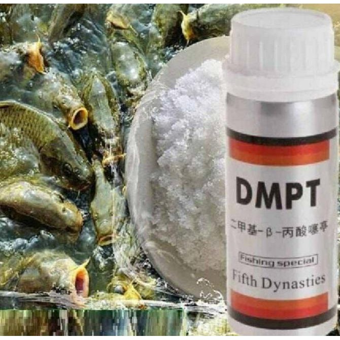 DMPT JAPAN/ESSEN DMPT ORIGINAL GM Scathan Original