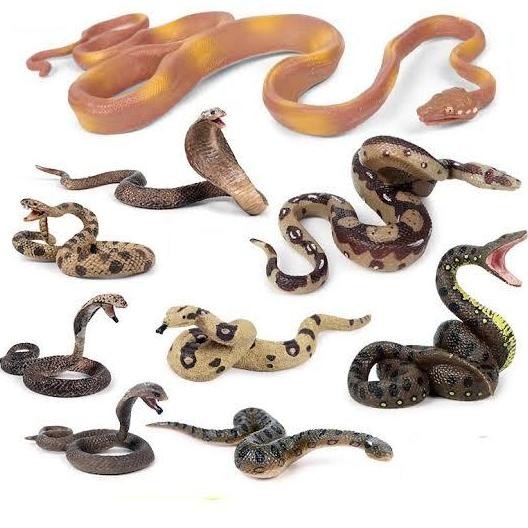 Mainan Hewan Reptil Ular