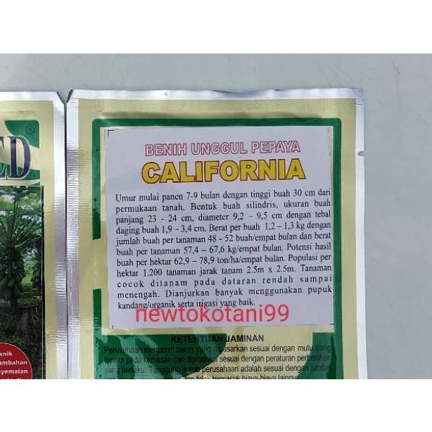 Benih pepaya california 1 gr benih kates raja seed
