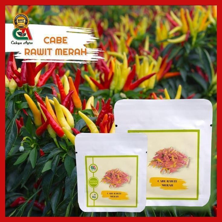 

(Terbaru) 45 Cabai Rawit Cabe Rawit Merah Unggul Sigantung Bestseller