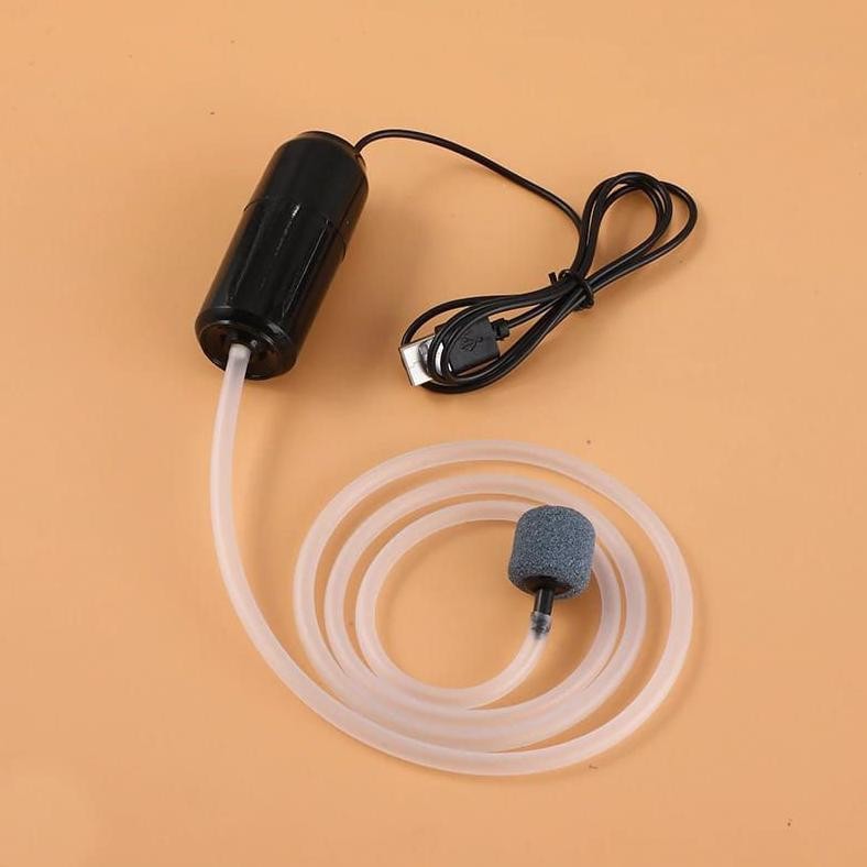 Eelic Box Pancing/Kotak Pancing/Box Pancing Udang Idup/Pancing/Tas Pancing/Box Pancing 40Cm We-12