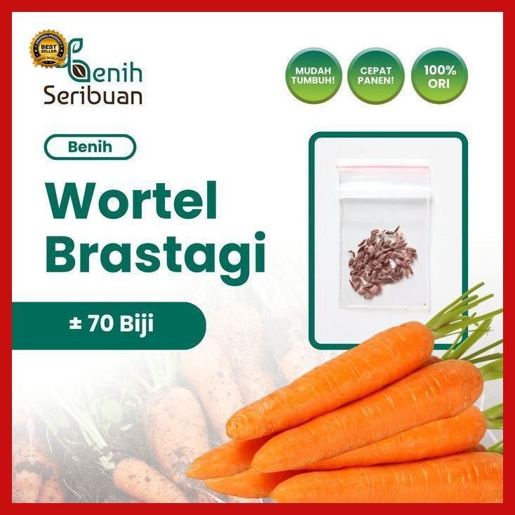 (Promo) 70 Benih Wortel Brastagi Medan Bibit Tanaman Sayuran Buah Panjang Bestseller