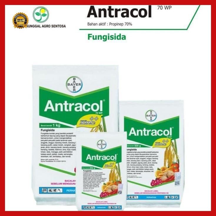 (Terbaru) Fungisida Antracol 70 Wp Zinc Pembasmi Infeksi Tanaman Jamur Sistemik Bestseller
