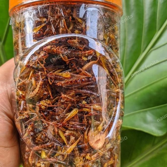 

belalang goreng kemasan toples sonice 50rb an