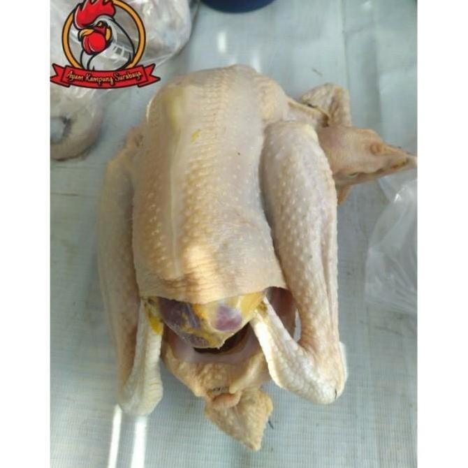 

AYAM KAMPUNG MEDIUM 725-800 gr