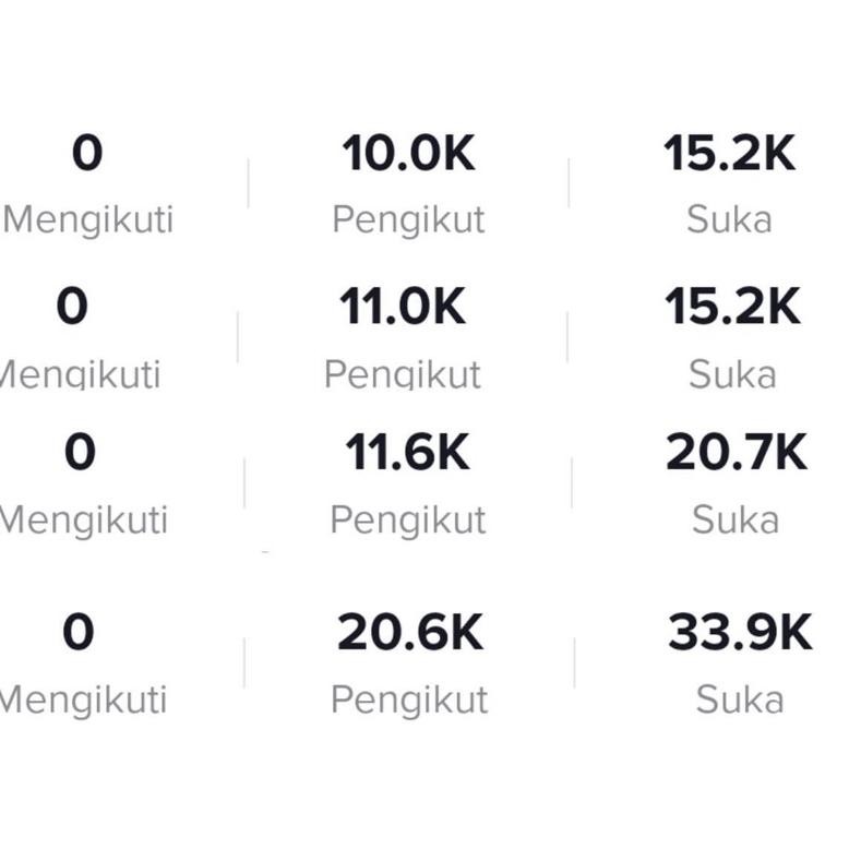 Akun Tiktok 1K-20K Hasil Fyp Indo Aktif Garansi 100%