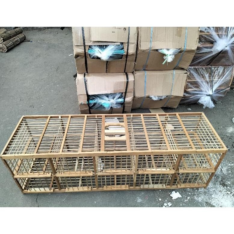 SANGKAR BURUNG DARA/ DONDANG PINTU 10.