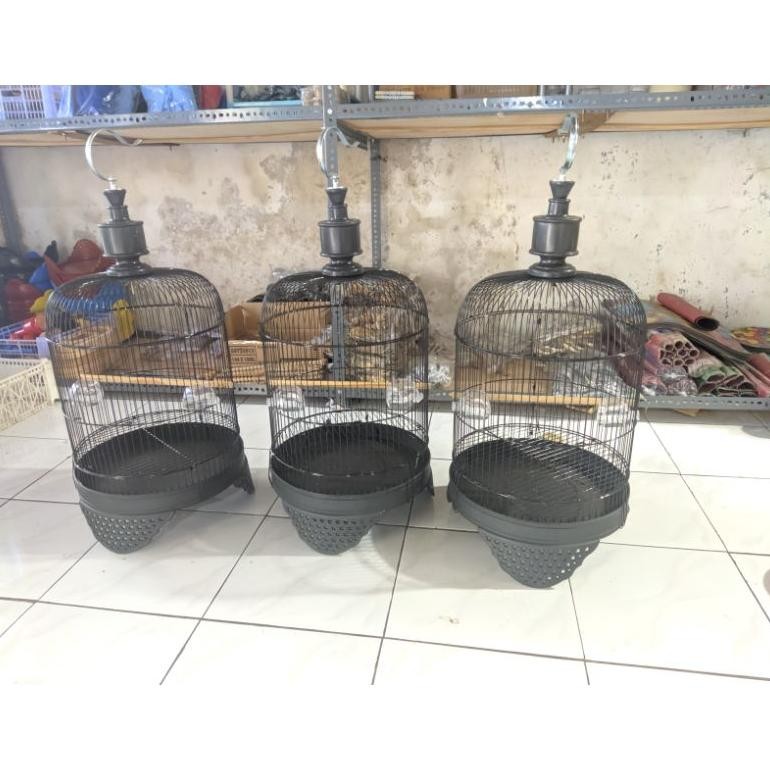Sangkar Lovebird Tanggung Kandang Burung Kapsul Cebol Atap lengkung