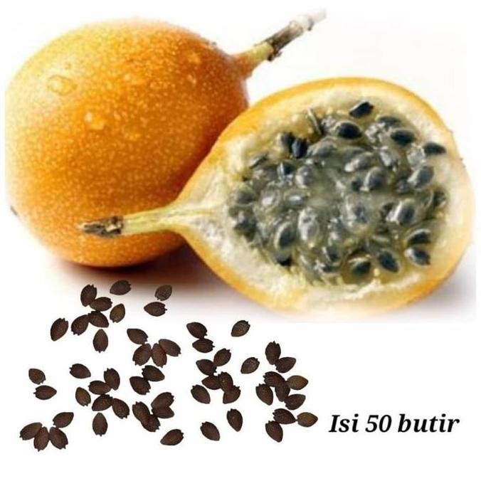 Bibit Buah Markisa / Biji Markisa Kuning