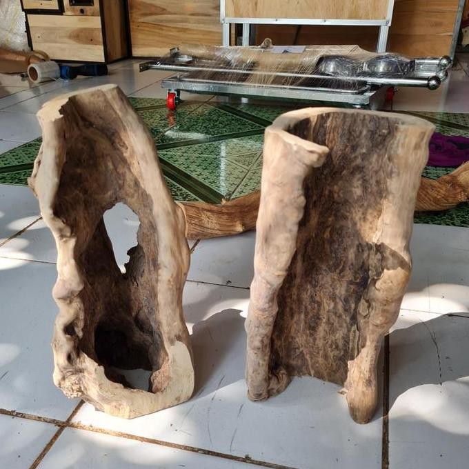 Kayu kopi tarantula hiding cave