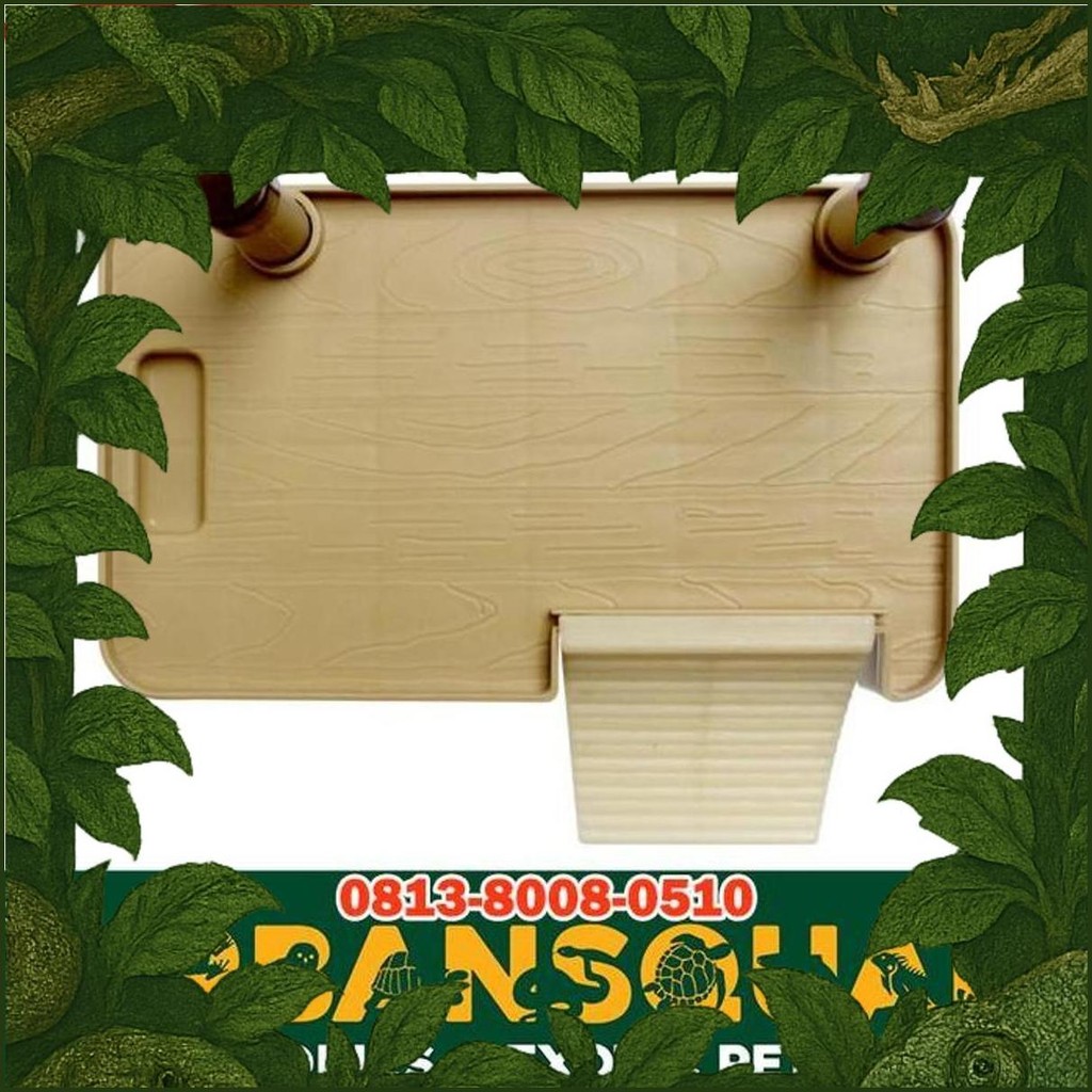 Nomoy Basking Turtle Nf-26 Kura Brazil Damer Dbt Diamond Back Stinkpot