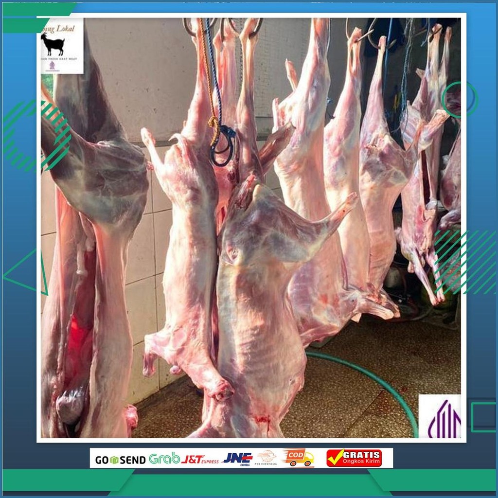 Daging Kambing Fresh, Karkas Kambing Muda Sameday