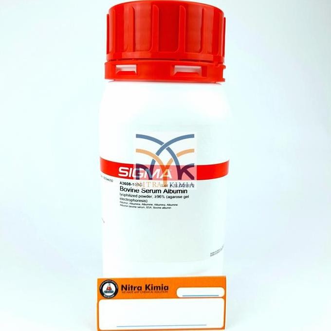 BSA/Albumin/Bovine Serum Albumine