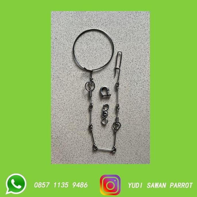 R06 Rantai Rante Burung Kakatua Afgrey Jambul Kuning Galah Severe murah