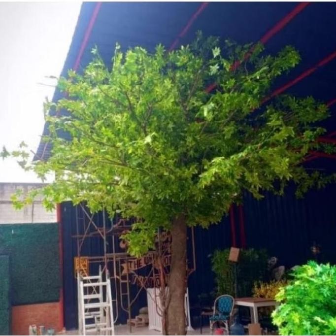 Pohon Maple Sintetis Batang Besar Dan Daun Lebar - Pohon Sintetis Custom